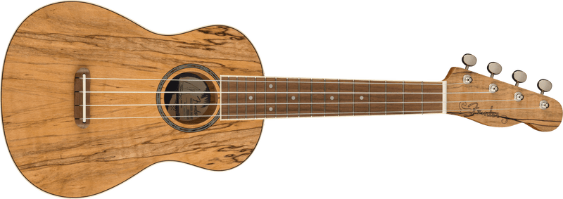 Load image into gallery viewer, FENDER / 097-0450-594 / Zuma Exotic Concert Ukulele, Walnut Fingerboard-Spalted Maple