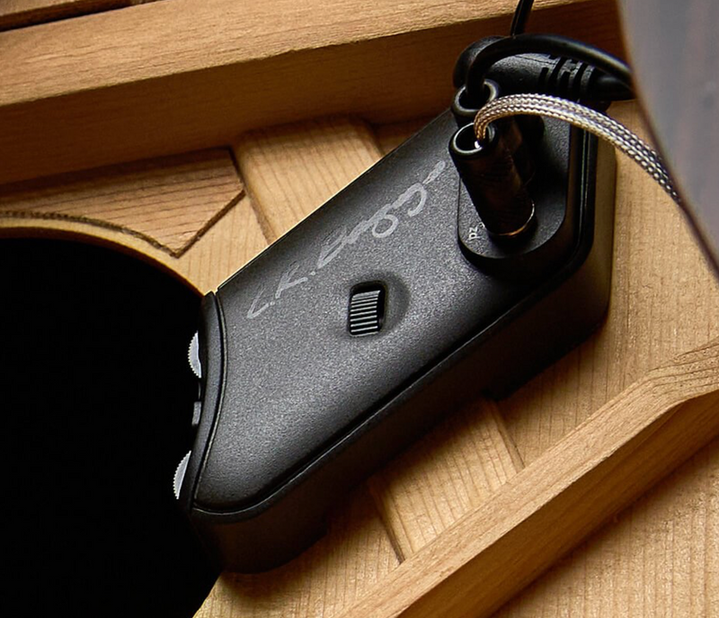 Chargez l'image dans la visionneuse de la galerie, PICKUP À PLAQUE DE PONT ET SYSTÈME DE MICRO