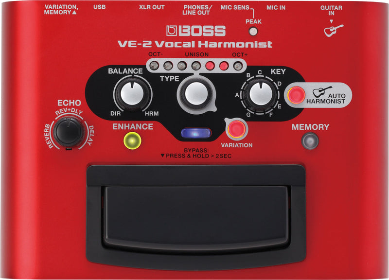 Load image into gallery viewer, VE-2 Vocal Effects and Harmony Pedal