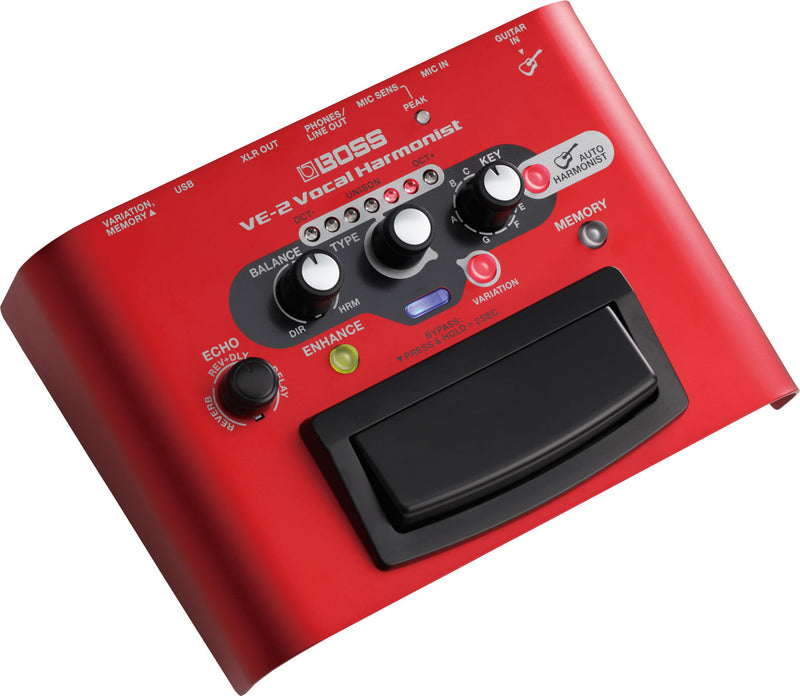 Load image into gallery viewer, VE-2 Vocal Effects and Harmony Pedal