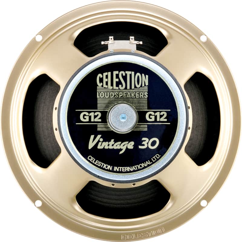 Chargez l'image dans la visionneuse de la galerie, Haut parleur 12 pouces Vintage 30 8 ohm 60W