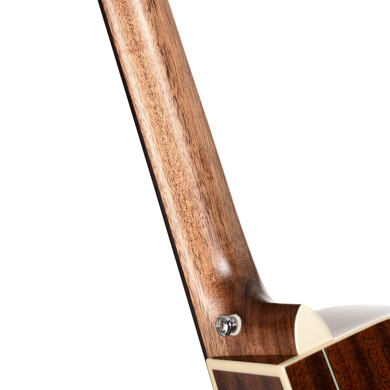 Chargez l'image dans la visionneuse de la galerie, Guitare électro-acoustique "Essence-GA4"