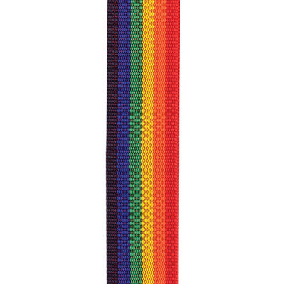 Chargez l'image dans la visionneuse de la galerie, Courroie auto-brocante D’Addario Auto Lock, Arc-en-ciel