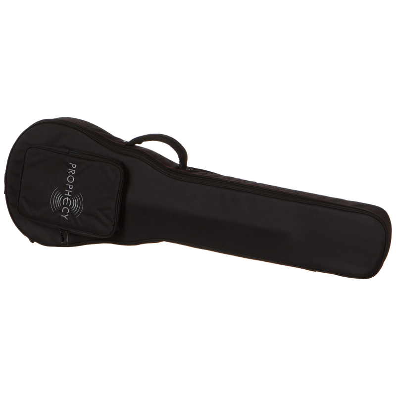 Load image into gallery viewer, Guitare électrique baryton Les Paul Prophecy scale 27"