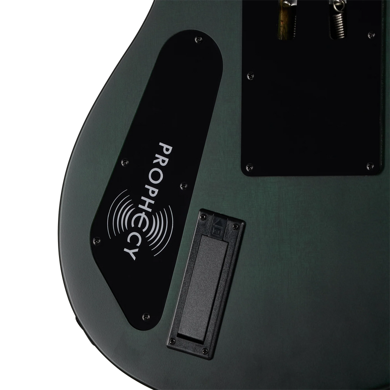 Load image into gallery viewer, Guitare électrique Victory Prophecy