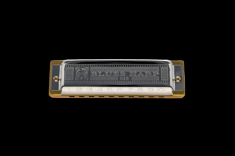 Load image into gallery viewer, Blues Harp Harmonica, Tonalité de ré majeur
