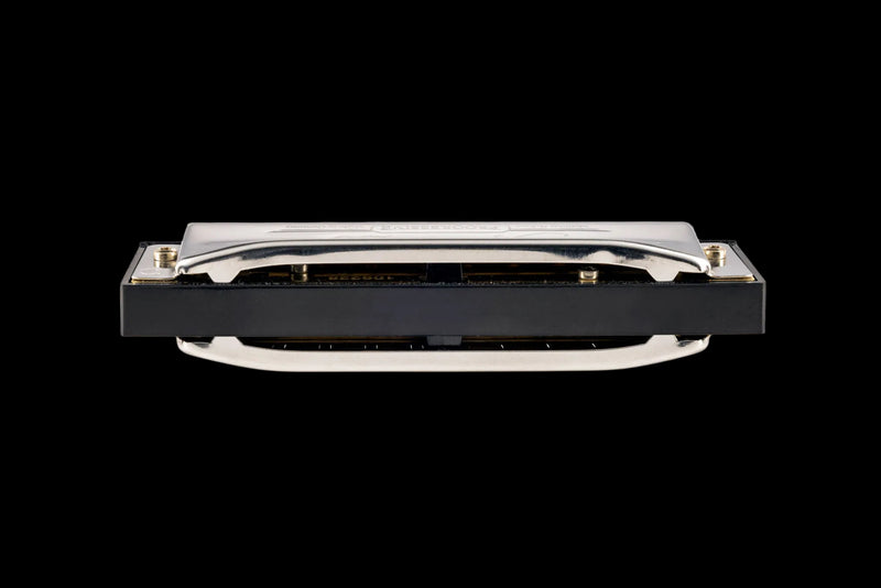Chargez l'image dans la visionneuse de la galerie, Harmonica spécial 20, tonalité de do