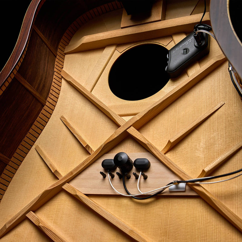 Chargez l'image dans la visionneuse de la galerie, PICKUP À PLAQUE DE PONT ET SYSTÈME DE MICRO