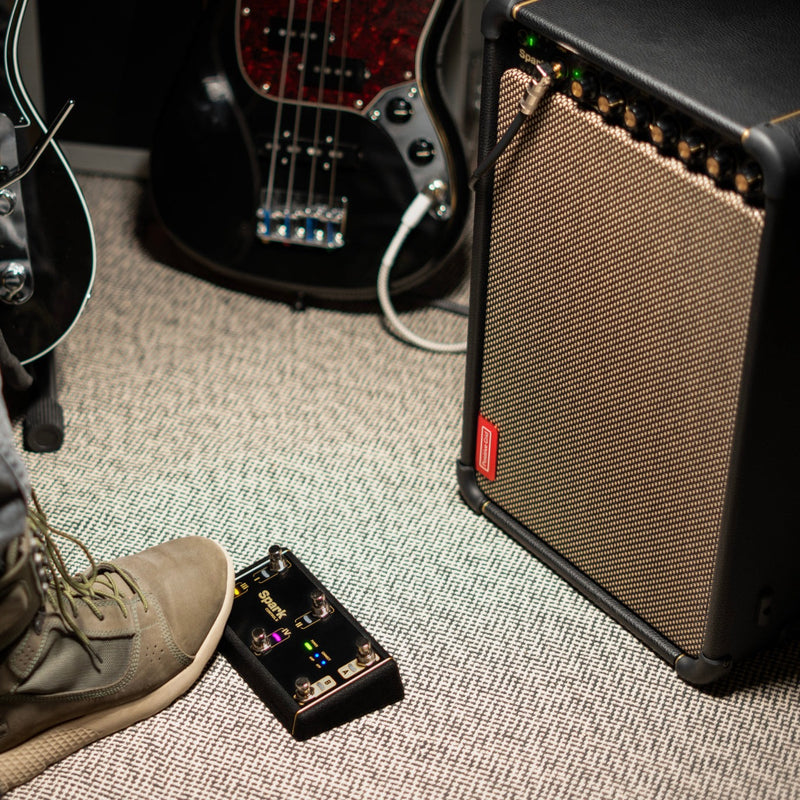 Chargez l'image dans la visionneuse de la galerie, Contrôleur bluetooth, 6 interrupteurs pour Spark