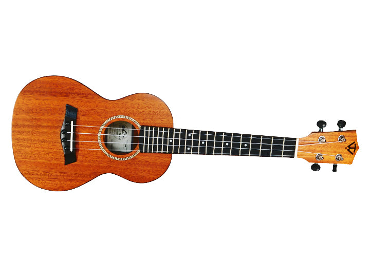 Chargez l'image dans la visionneuse de la galerie, Ukulélé concert "Rock Roots"