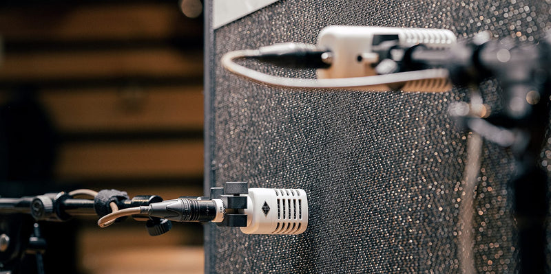 Load image into gallery viewer, SD-3 Dynamic w/ Hemisphere Mic Modeling