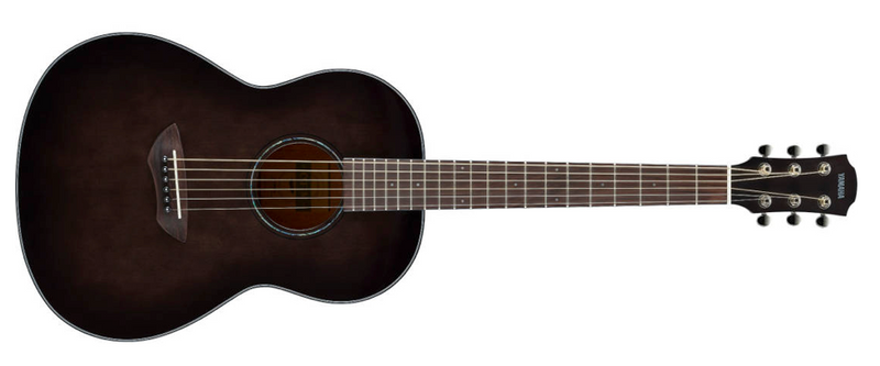 Load image into gallery viewer, Electro-acoustic guitar "CSF1M TBL"