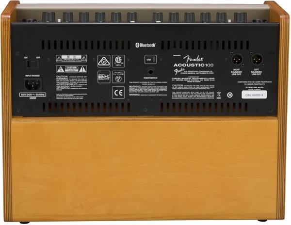 Load image into gallery viewer, Acoustic guitar amplifier "Acoustic 100"