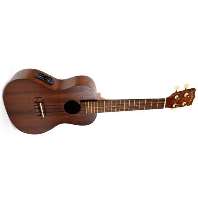 Chargez l'image dans la visionneuse de la galerie, Ukulélé concert avec EQ passif