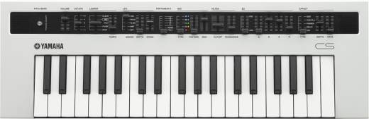 Load image into gallery viewer, Reface CS 37 Mini Analog Synthesizer Key