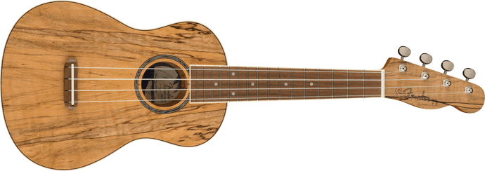 FENDER / 097-0450-594 / Zuma Exotic Concert Ukulele, Walnut Fingerboard-Spalted Maple