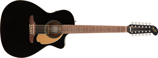 12-string acoustic guitar 