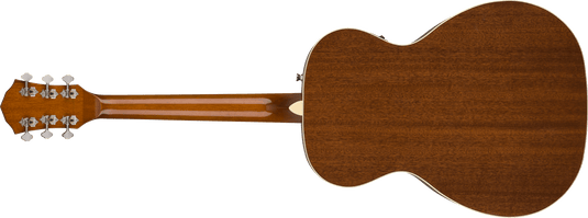 Concert acoustic guitar 