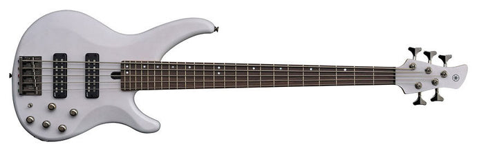 5-string electric bass 