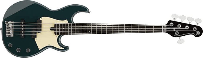 5-string electric bass 