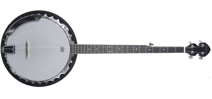 5-string banjo 