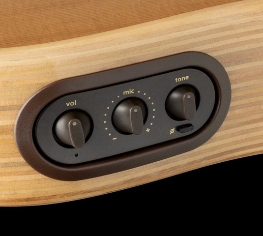 Guitare acoustique-électrique AEG-1 avec étui souple (épinette de Sitka, fini Sunburst)