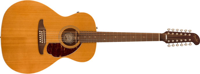 12-string electro-acoustic guitar 