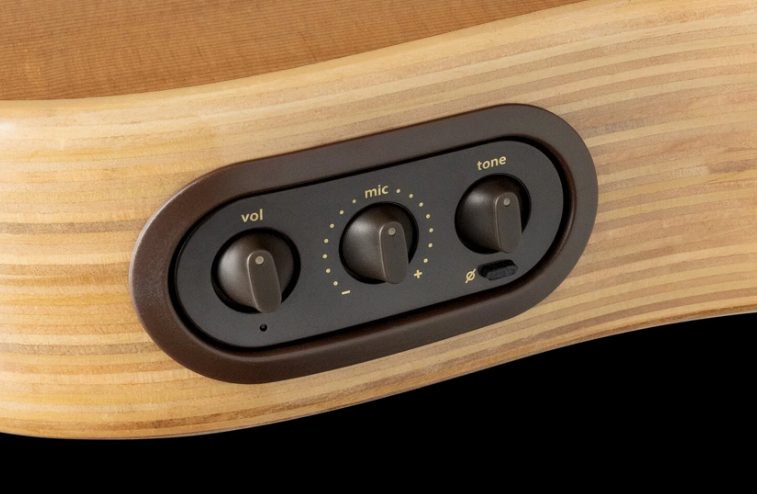 Chargez l'image dans la visionneuse de la galerie, Guitare acoustique-électrique AEG-1 avec étui souple (épinette d’Engelmann naturelle)
