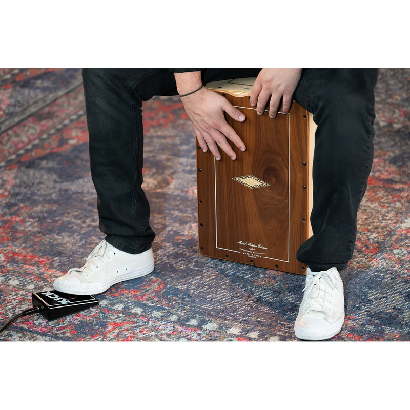 Load image into gallery viewer, PERCUSSION AU PIED STOMP BOX, KICK - STB1
