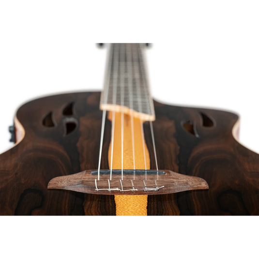 Guitare TourPlayer Series 4/4 à cordes nylon 6 cordes + housse professionnelle,fini naturel brillant,corps Ziricote massif