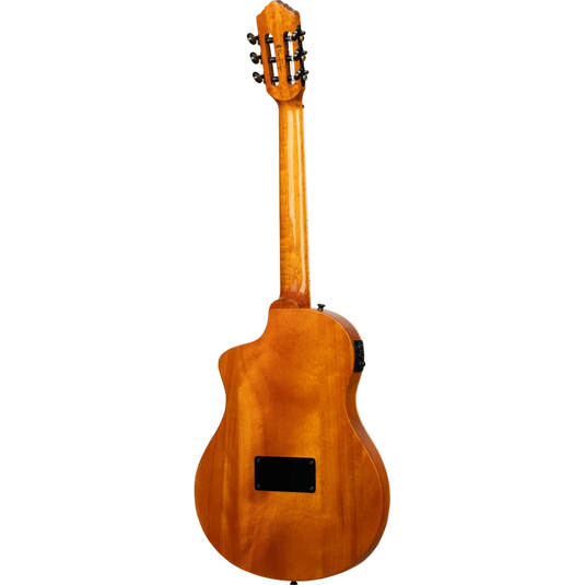 Guitare TourPlayer Series 4/4 à cordes nylon 6 cordes + housse professionnelle,fini naturel brillant,corps Ziricote massif