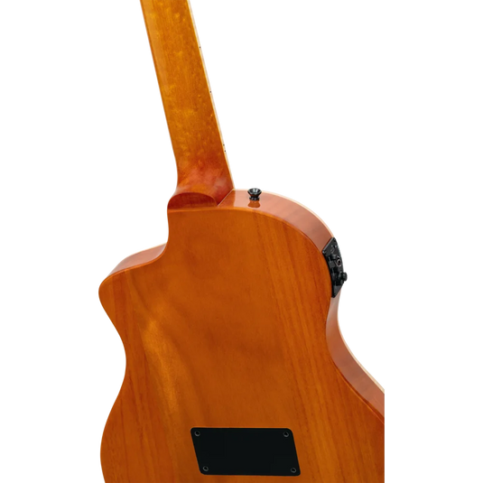 Guitare TourPlayer Series 4/4 à cordes nylon 6 cordes + housse professionnelle,fini naturel brillant,corps Ziricote massif