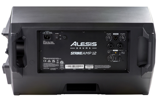 Moniteur de batterie 2 voies 12 pouces 2500 watts avec Bluetooth