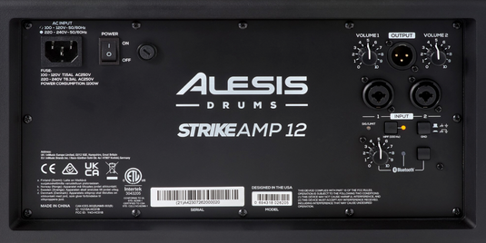 Moniteur de batterie 2 voies 12 pouces 2500 watts avec Bluetooth