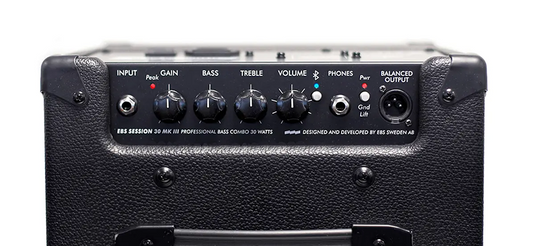Ampli de  Basse EBS  Combo Session Mk3, haut-parleur 8” ,30W "Tiltback "