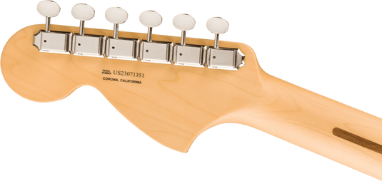 American Performer Sassafras Stratocaster®, touche en palissandre, moka, incus étui souple Deluxe