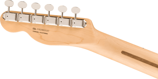 American Performer Telecaster®, touche en érable, Honey Burst, inclus étui souple Deluxe