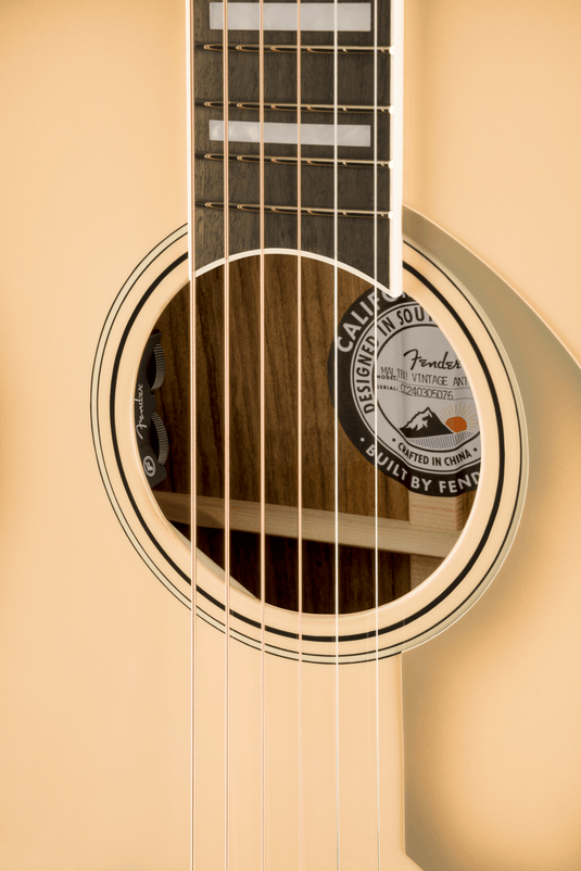 Limited edition Californian vintage Palomino with hardshell case, Antigua Pickguard, Antigua