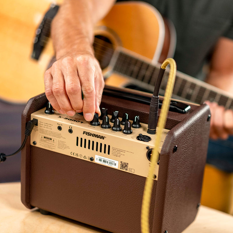 Chargez l&#39;image dans la visionneuse de la galerie, LOUDBOXMICRO, amplificateur pour instrument acoustique de 40 watts avec effets
