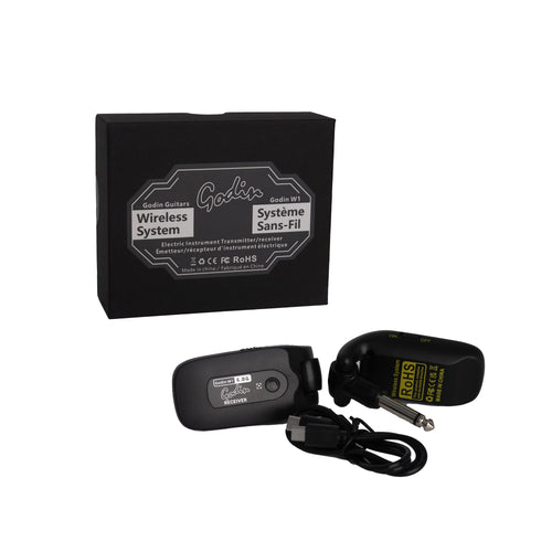 SYSTÈME SANS-FIL GODIN 5.8 ghz pour instrument