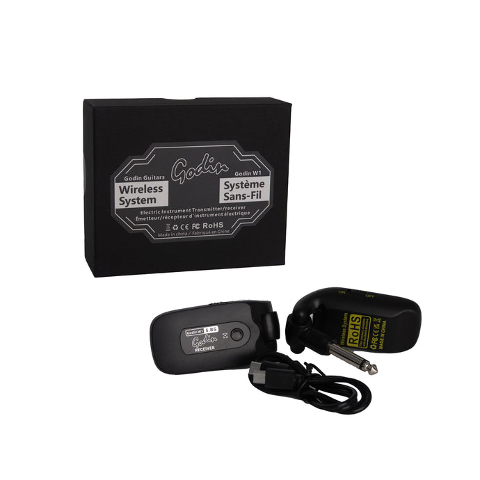 SYSTÈME SANS-FIL GODIN 5.8 ghz pour instrument