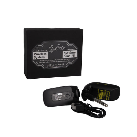 SYSTÈME SANS-FIL GODIN 5.8 ghz pour instrument