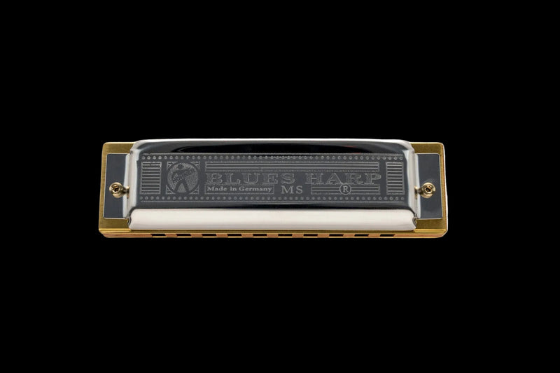 Load image into gallery viewer, Blues Harp Harmonica, Tonalité de ré majeur
