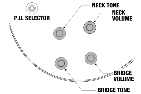 Guitare électrique série Iceman Standard,avec micros Super 80- Violin Sunburst,  avec étui souple