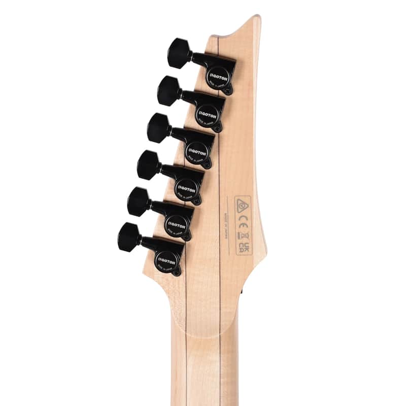 Load image into gallery viewer, Guitare électrique Genesis Collection "RG565R"
