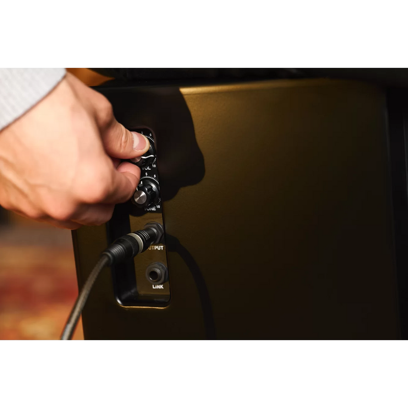 Load image into gallery viewer, Cajon subwoofer verticale de la série Bass
