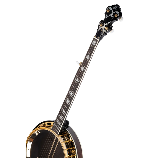 Banjo 5 cordes en Érable Ondé Naturel, Série FALCON avec étui Deluxe
