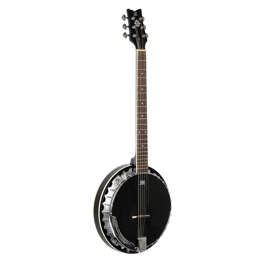 Banjo 6 cordes de la série Raven