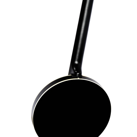 Banjo 6 cordes de la série Raven