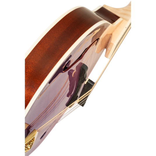 Mandoline de la série Americana avec étui rigide